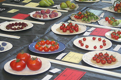 Autumn Show
