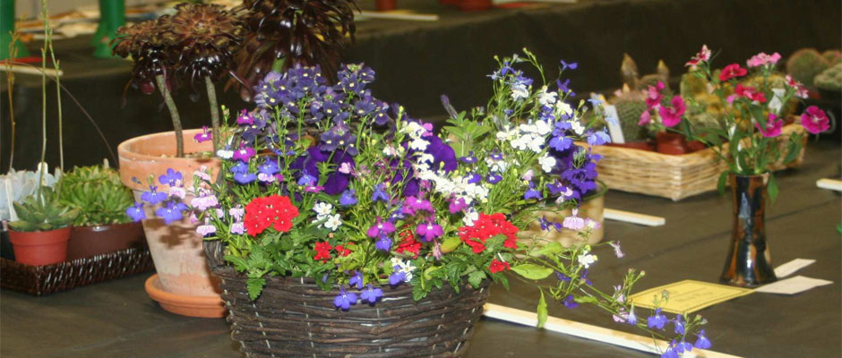 Ewell Horticultural Association banner