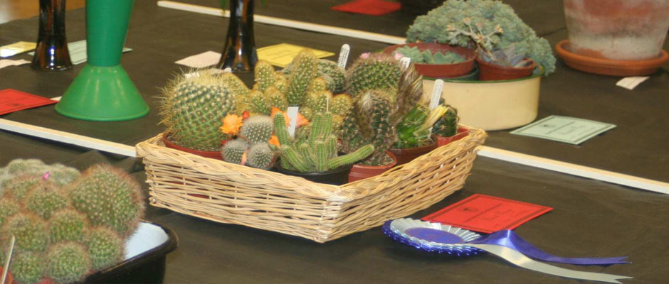 Ewell Horticultural Association banner